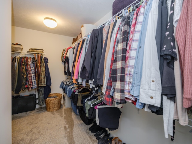 walk in closet featuring carpet