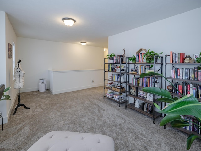 interior space with carpet and baseboards