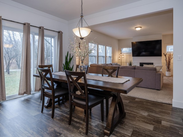 dining area featuring dark wood-style floors