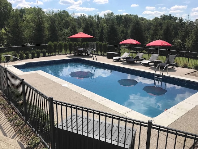 view of swimming pool with a patio