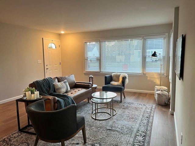 living room featuring hardwood / wood-style flooring