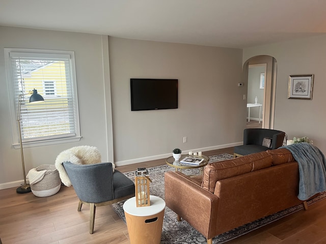 living room featuring hardwood / wood-style floors