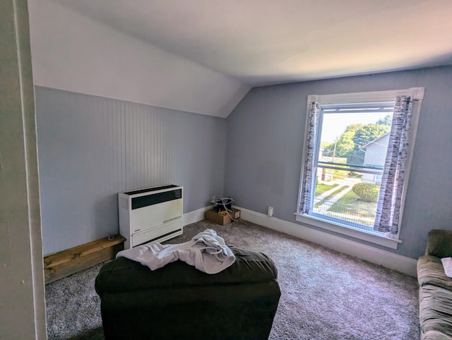 additional living space with carpet flooring, heating unit, and lofted ceiling