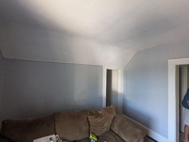 living room featuring lofted ceiling