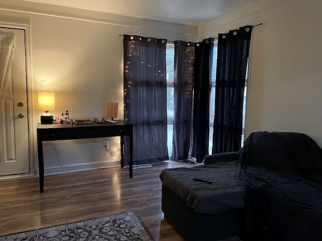 bedroom featuring wood-type flooring