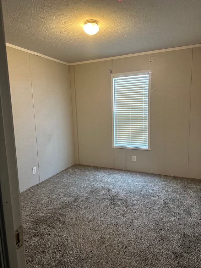 carpeted empty room featuring a textured ceiling and ornamental molding