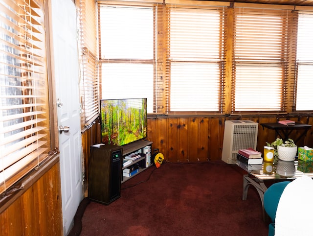 interior space with wood walls and carpet floors