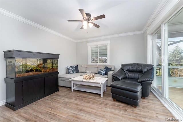 living room with crown molding, a ceiling fan, and light wood-type flooring