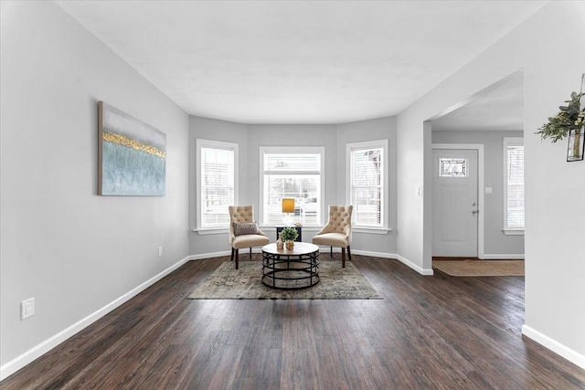 living area featuring dark wood-type flooring