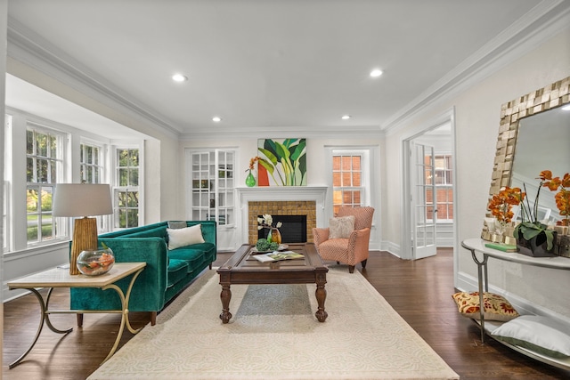 living room with dark hardwood / wood-style flooring, crown molding, and a fireplace