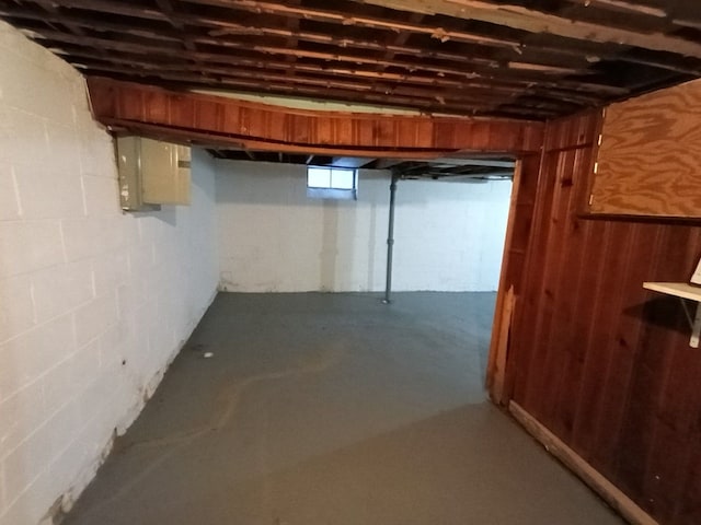 basement with electric panel