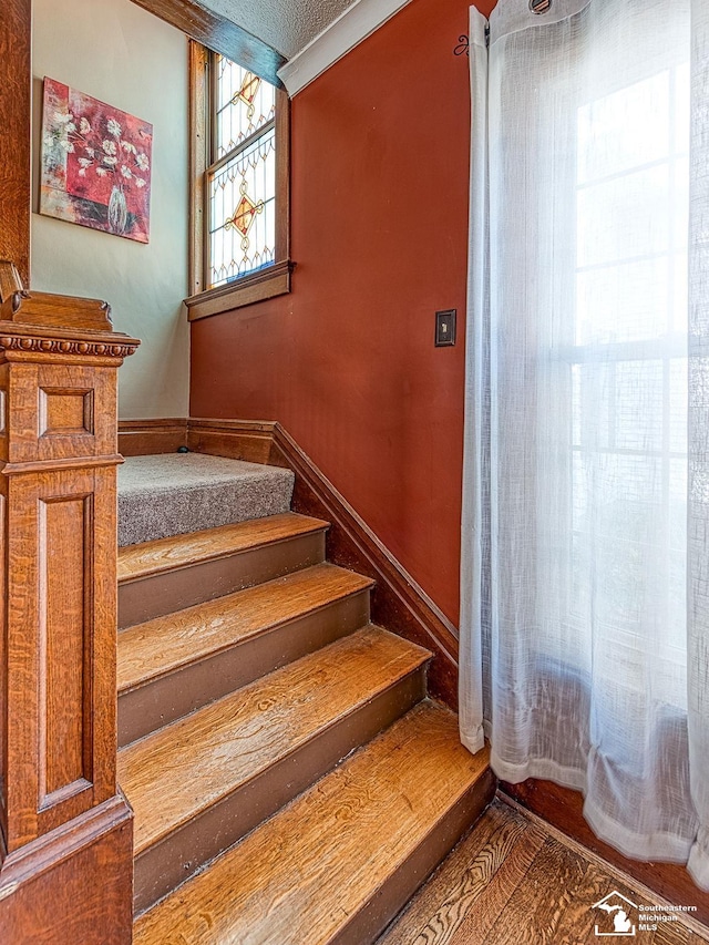 stairway with hardwood / wood-style flooring