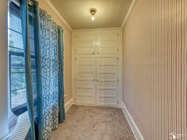 interior space with light colored carpet and crown molding