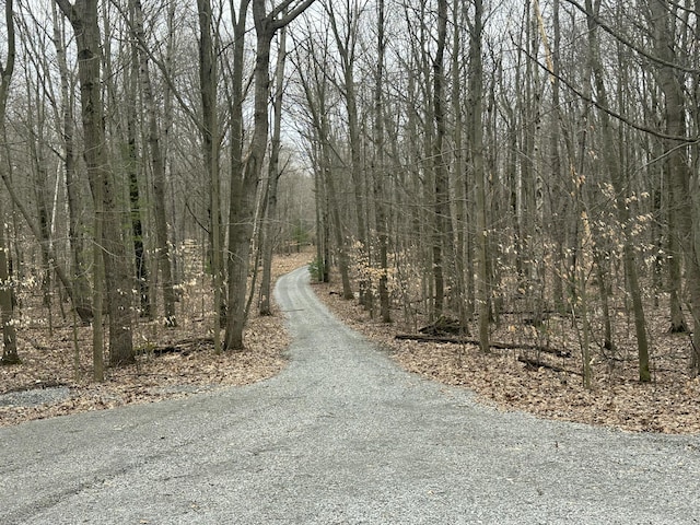 4714 N Lincoln Rd, Ludington, MI 49431 - view of road with a view of trees