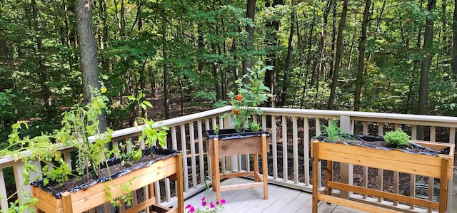 4714 N Lincoln Rd, Ludington, MI 49431 - view of wooden terrace