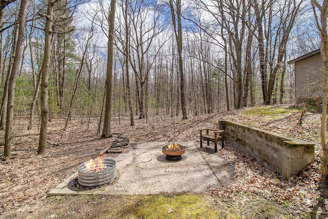 4714 N Lincoln Rd, Ludington, MI 49431 - view of yard with a fire pit and a patio area