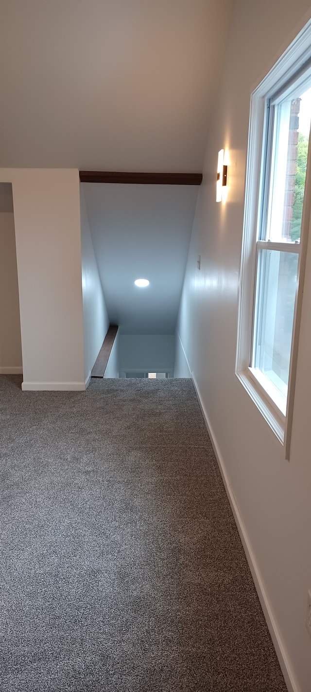 interior space featuring plenty of natural light, carpet floors, and vaulted ceiling