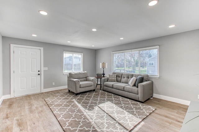 living room with hardwood / wood-style flooring