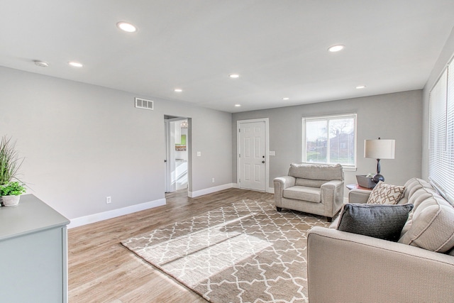 living room with hardwood / wood-style flooring