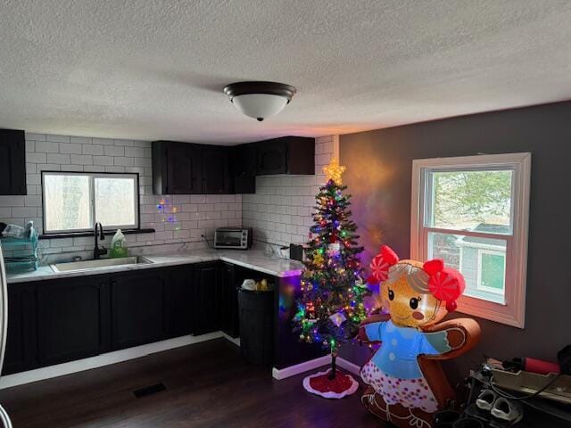 kitchen featuring tasteful backsplash, dark hardwood / wood-style flooring, sink, and a wealth of natural light