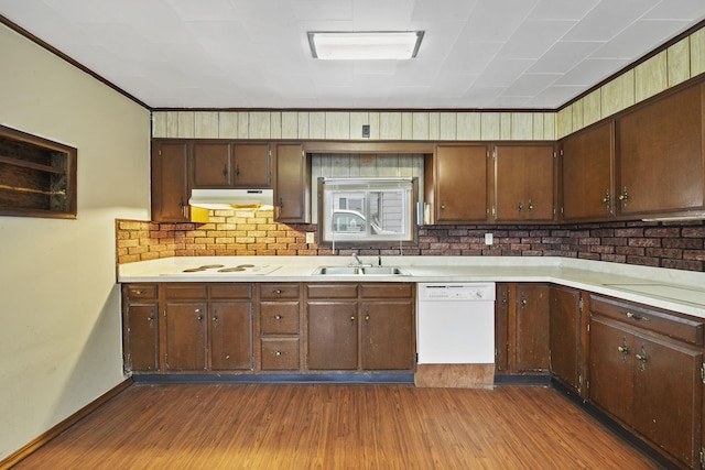 kitchen with dark hardwood / wood-style flooring, white appliances, dark brown cabinets, and sink