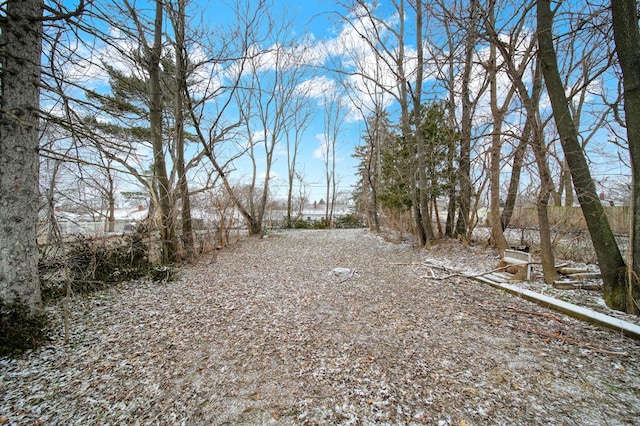 view of yard layered in snow