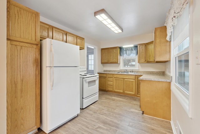 kitchen featuring light hardwood / wood-style flooring, white appliances, and sink