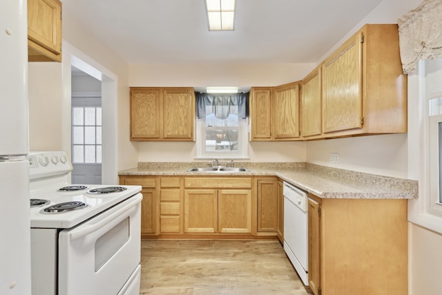 kitchen featuring light brown cabinetry, sink, white appliances, and light wood-type flooring