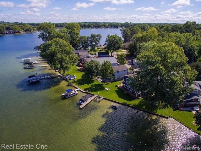 aerial view with a water view