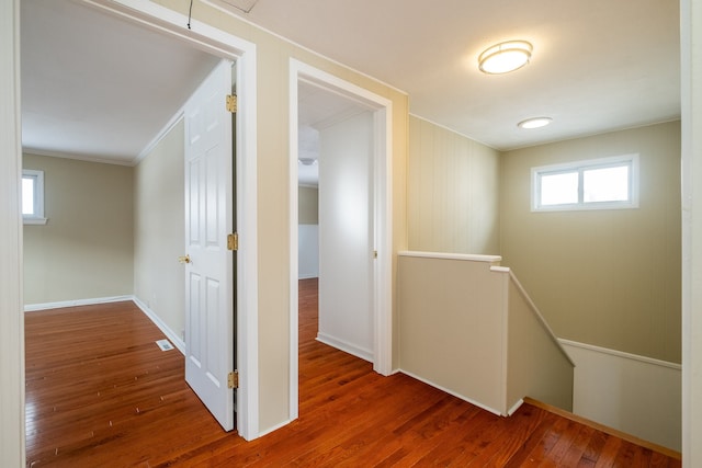 hallway with hardwood / wood-style floors and ornamental molding