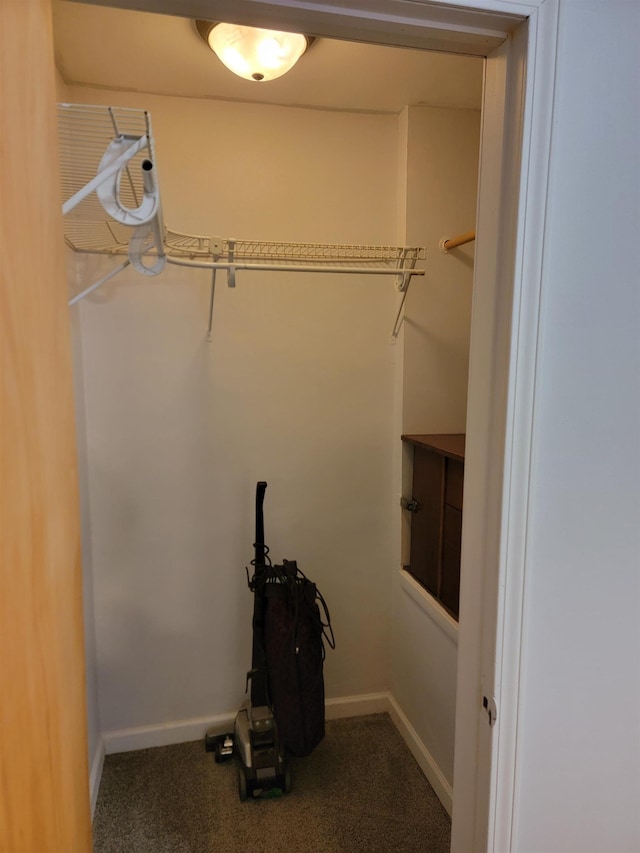 spacious closet with carpet floors