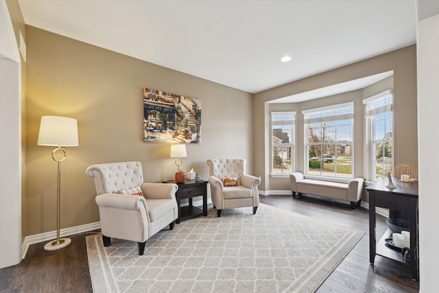 living area featuring wood-type flooring