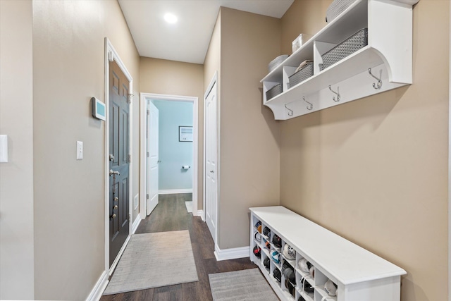 mudroom with dark wood-type flooring