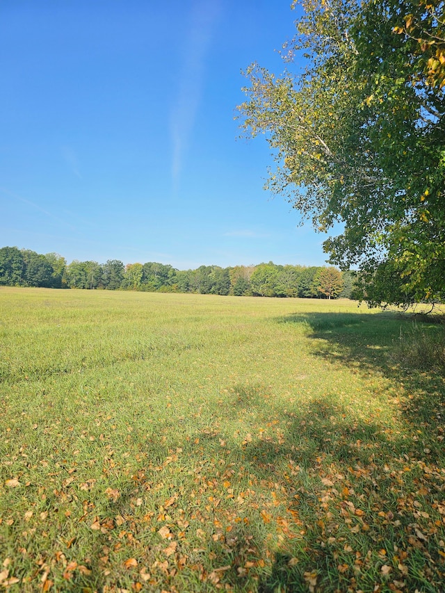 view of yard with a rural view