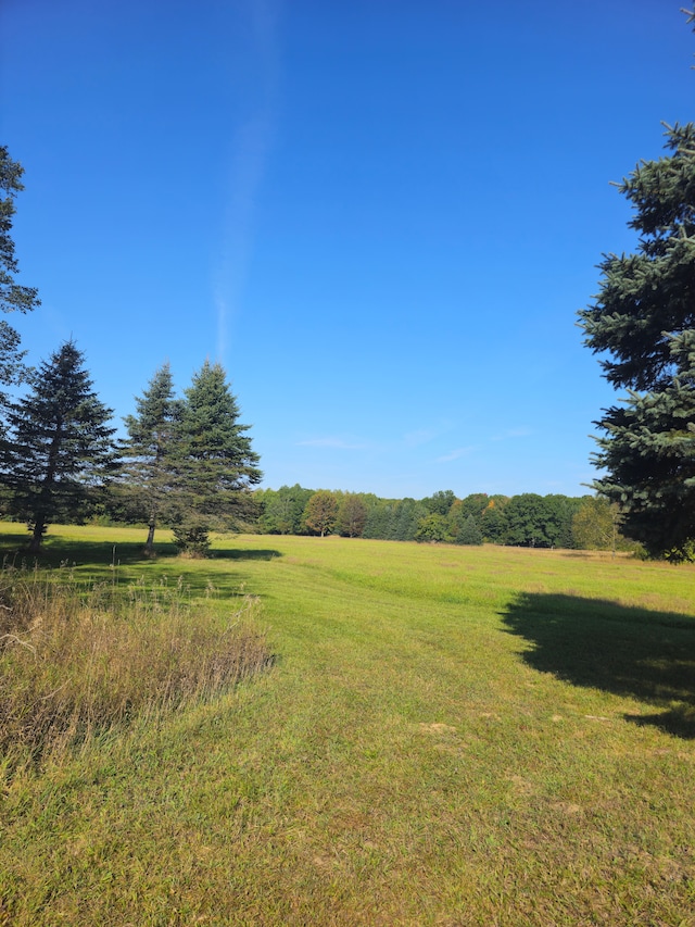 view of yard with a rural view