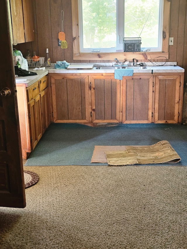 kitchen with wood walls and dark carpet