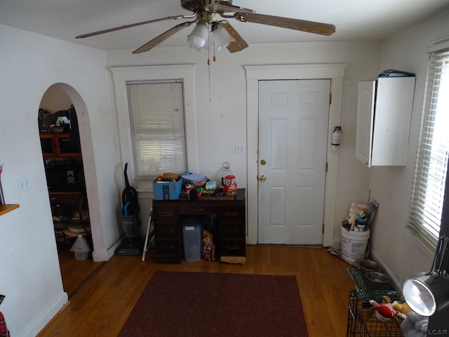 entryway featuring hardwood / wood-style flooring, ceiling fan, and a wealth of natural light