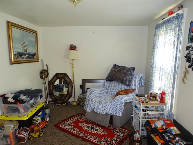 bedroom with carpet