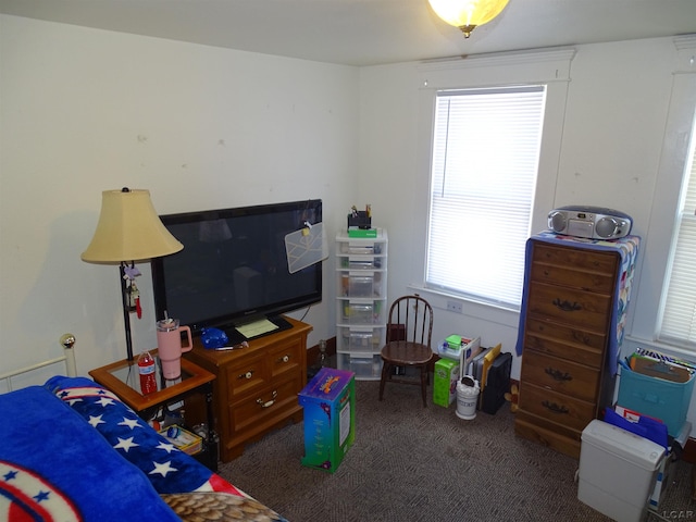 bedroom with dark carpet