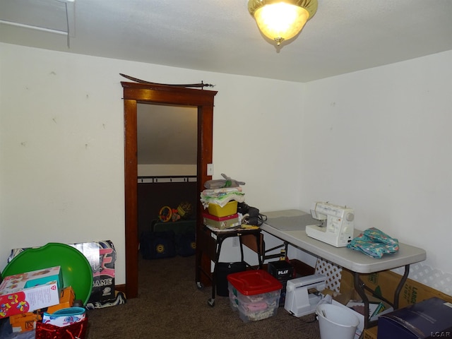 view of carpeted home office