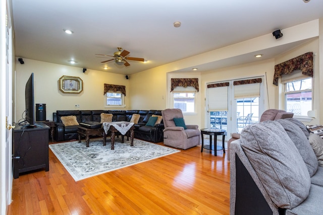 living room with ceiling fan and light hardwood / wood-style floors