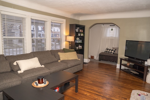 living room featuring dark hardwood / wood-style flooring and a wealth of natural light