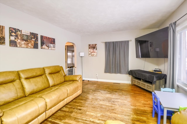 living room with hardwood / wood-style flooring and a healthy amount of sunlight