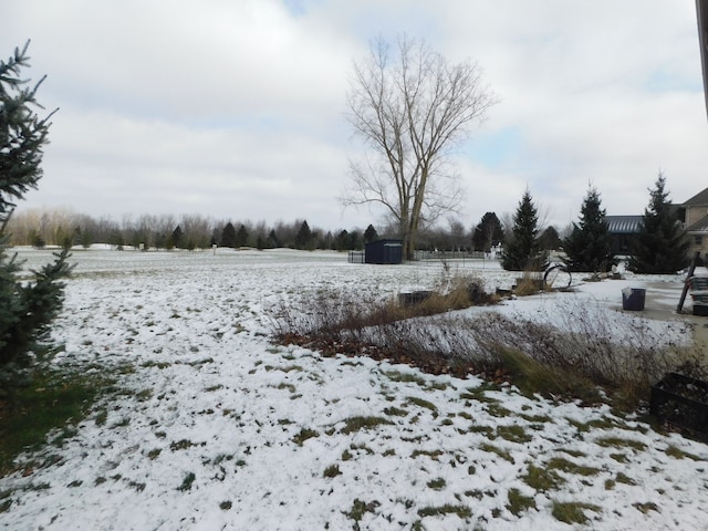 view of yard covered in snow