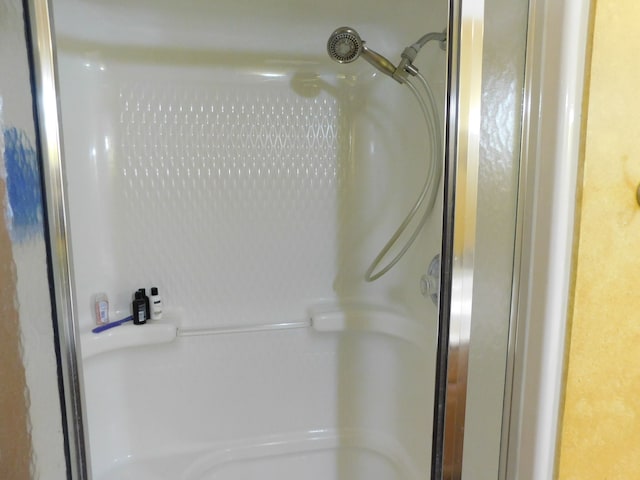 bathroom with a shower