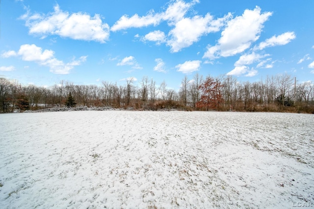 view of snowy yard