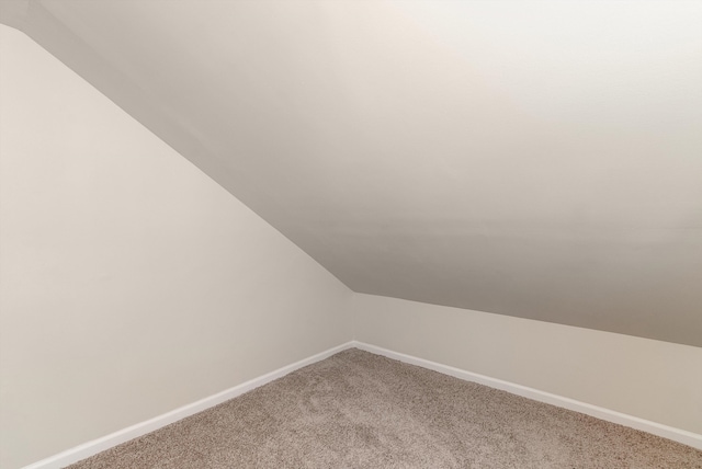 additional living space with carpet flooring and vaulted ceiling