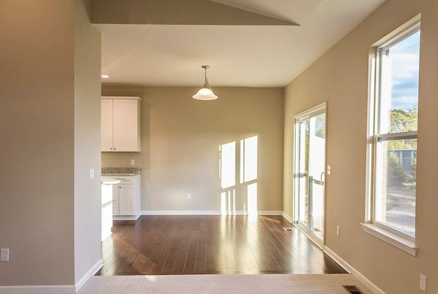 interior space featuring dark wood-type flooring and a healthy amount of sunlight