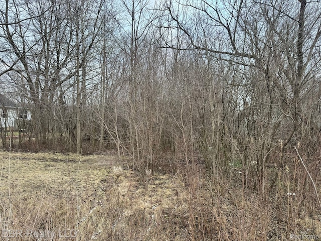 0 W Jefferson Ave, Brownstown, MI 48173 - photo 2