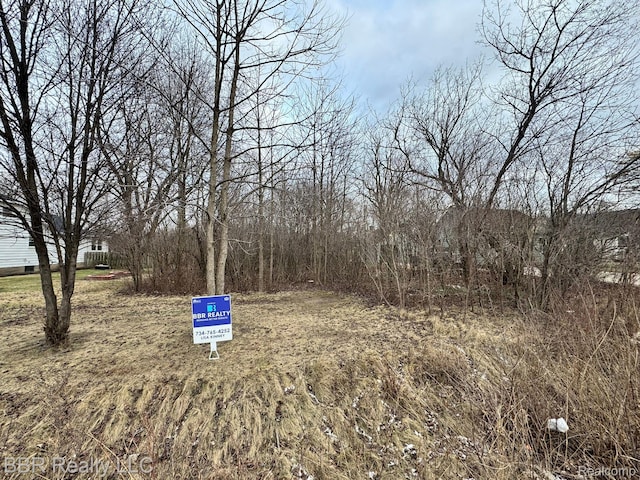 0 W Jefferson Ave, Brownstown, MI 48173 - photo 3